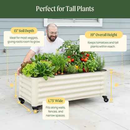 Product photo of rolling cube planter, 21 x 21 inches