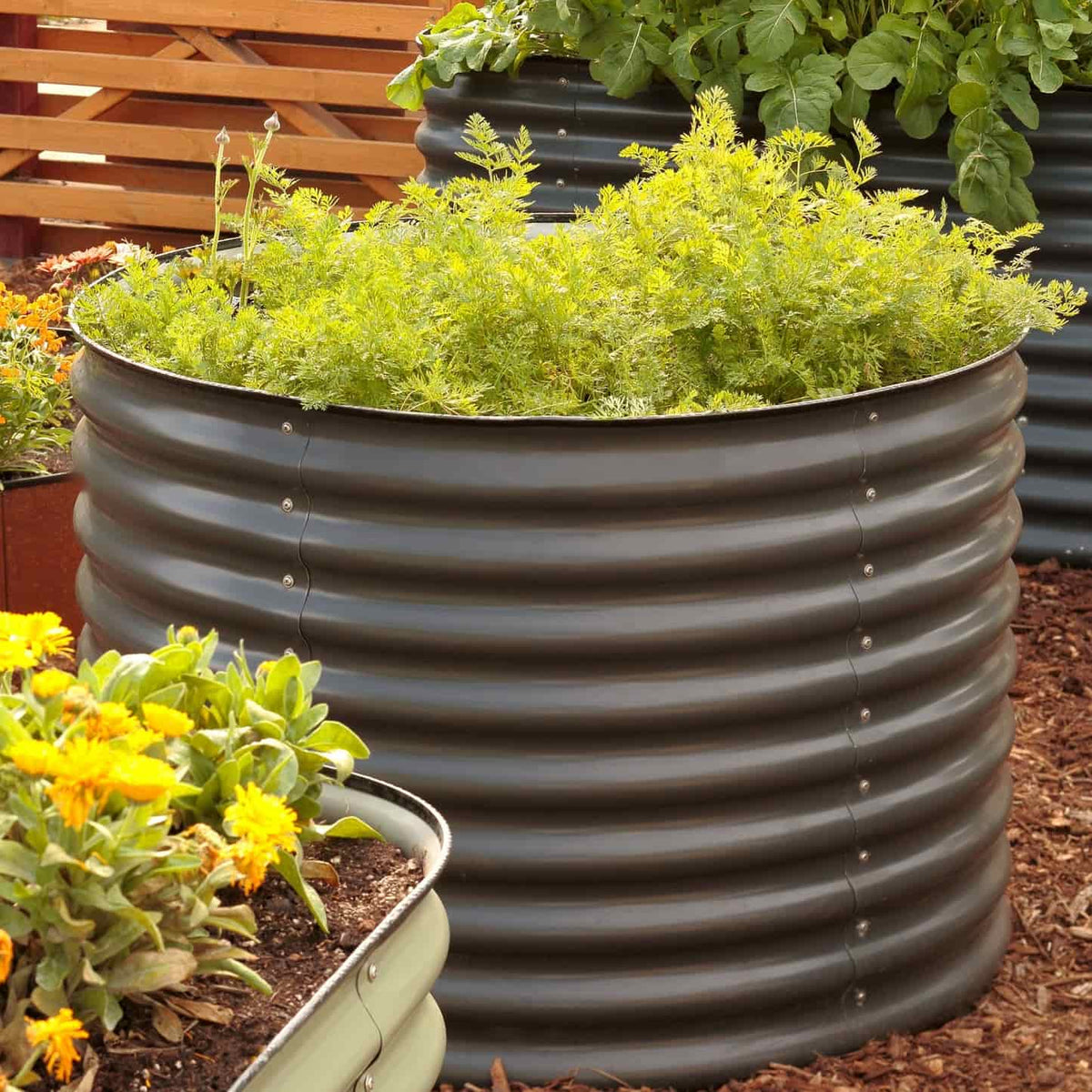 Round Metal Raised Garden Bed, 29 Inches Tall