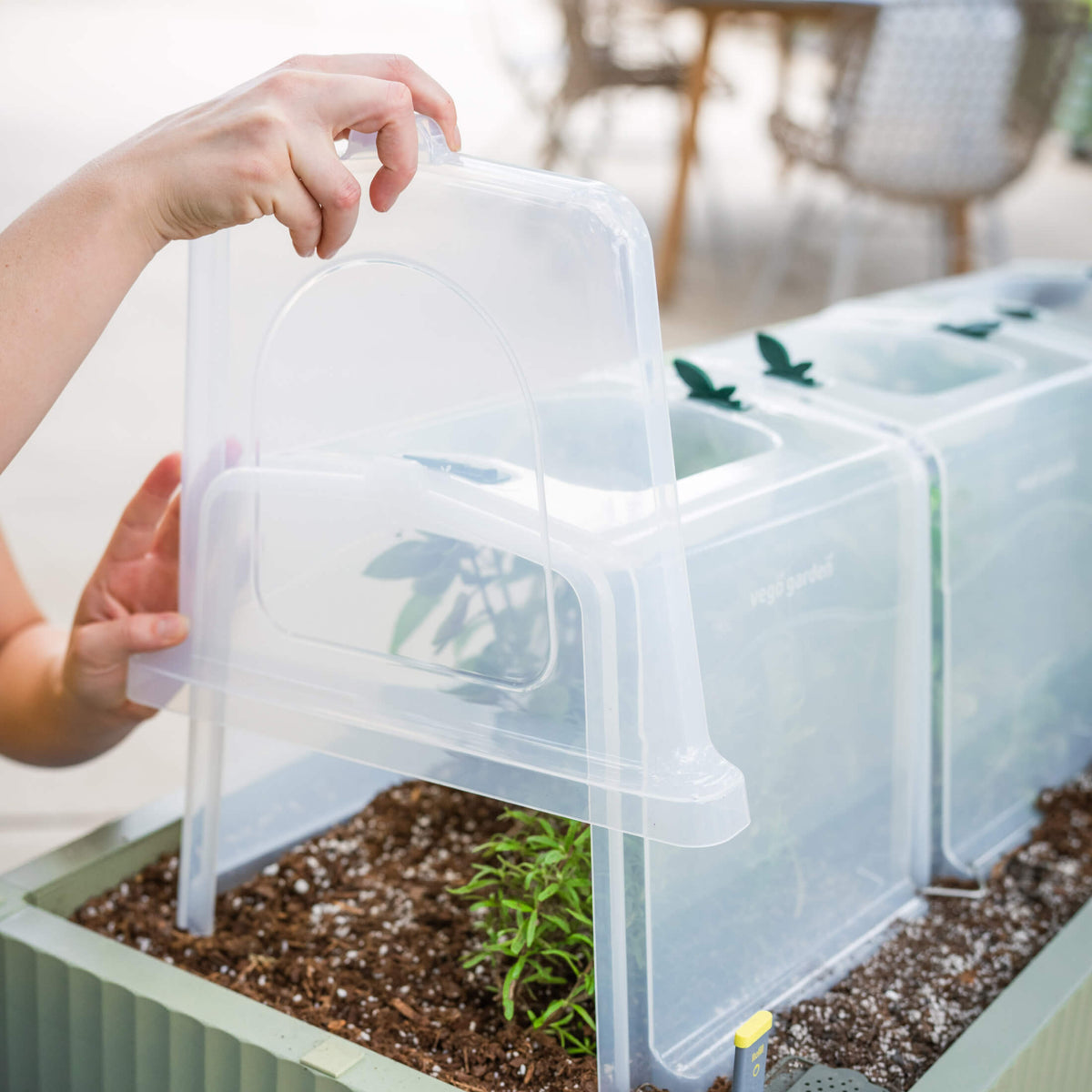 Modular Row Cloche Kit