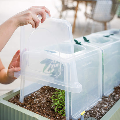 Modular Row Cloche Kit
