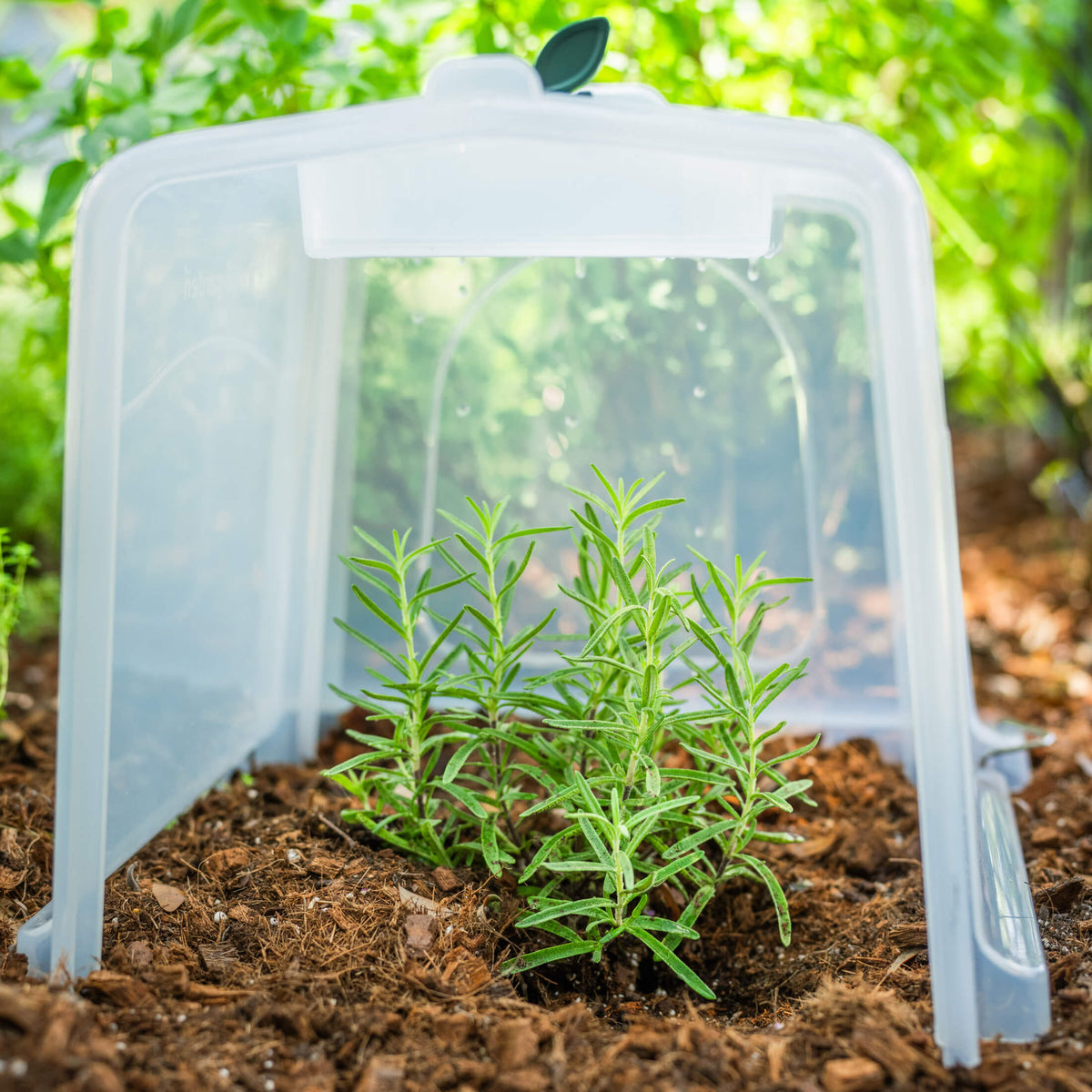 Modular Row Cloche Kit