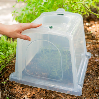 Modular Row Cloche Kit