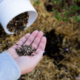 Hummingbird Flower Mix Seed Shaker