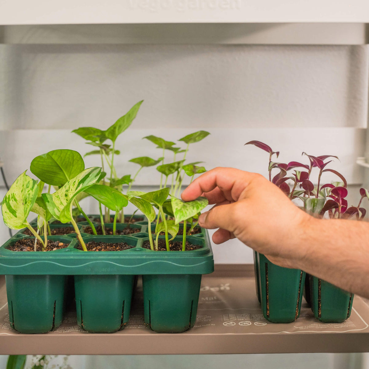 Seedling Heat Mat for 10 x 20 Inch Trays