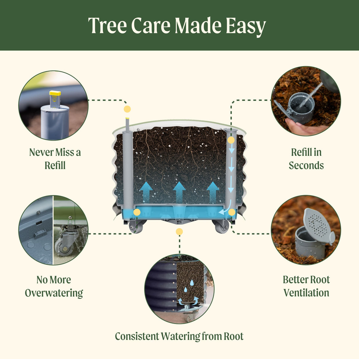 Rolling Citrus Tree Planter, 30 Gallons