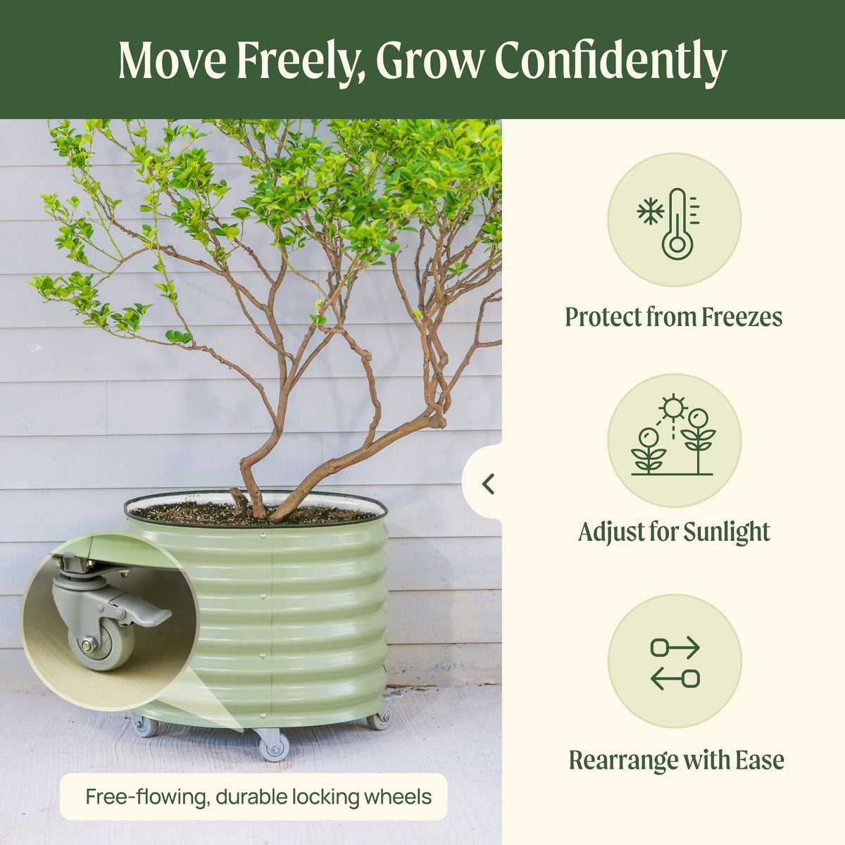 Product photo of rolling citrus planter, 45 gallons