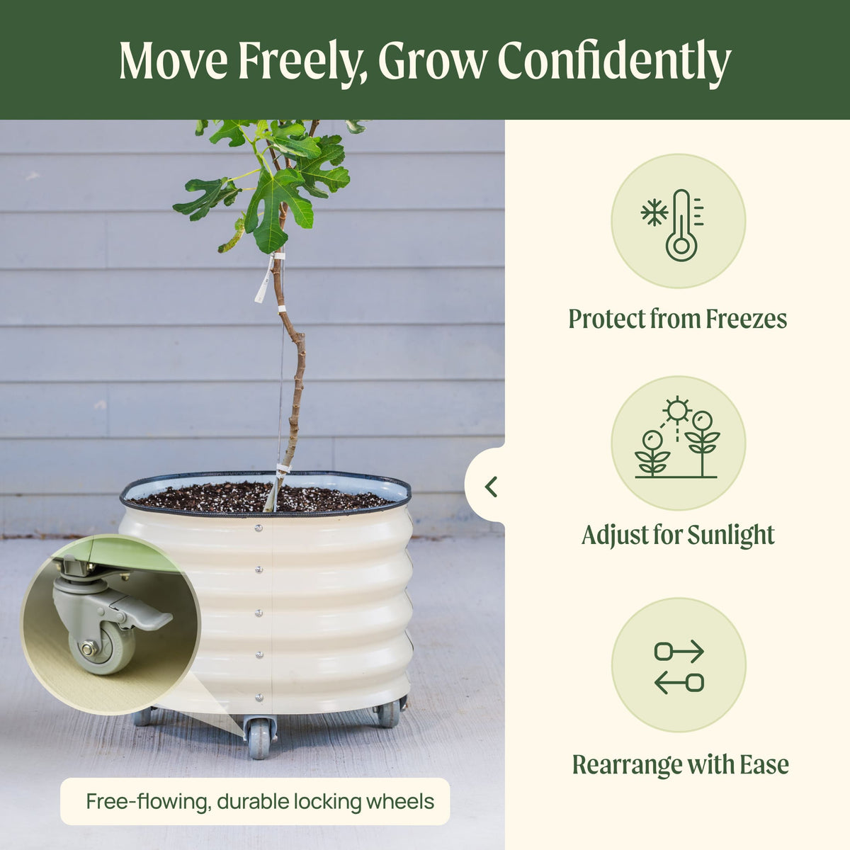 Product photo of rolling citrus planter, 45 gallons