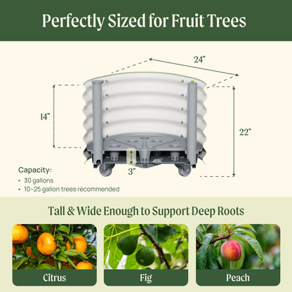 Rolling Citrus Tree Planter, 30 Gallons