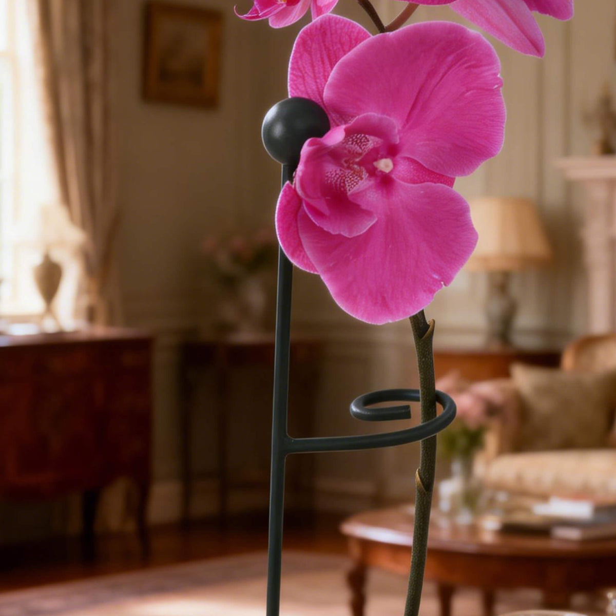 Loop Single-Stem Plant Supports, 3 Pack