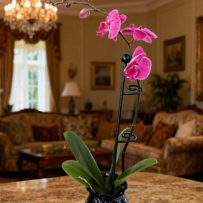 Loop Single-Stem Plant Supports, 3 Pack