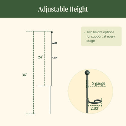 Loop Single-Stem Plant Supports, 3 Pack