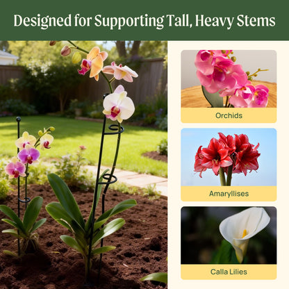 Loop Single-Stem Plant Supports, 3 Pack