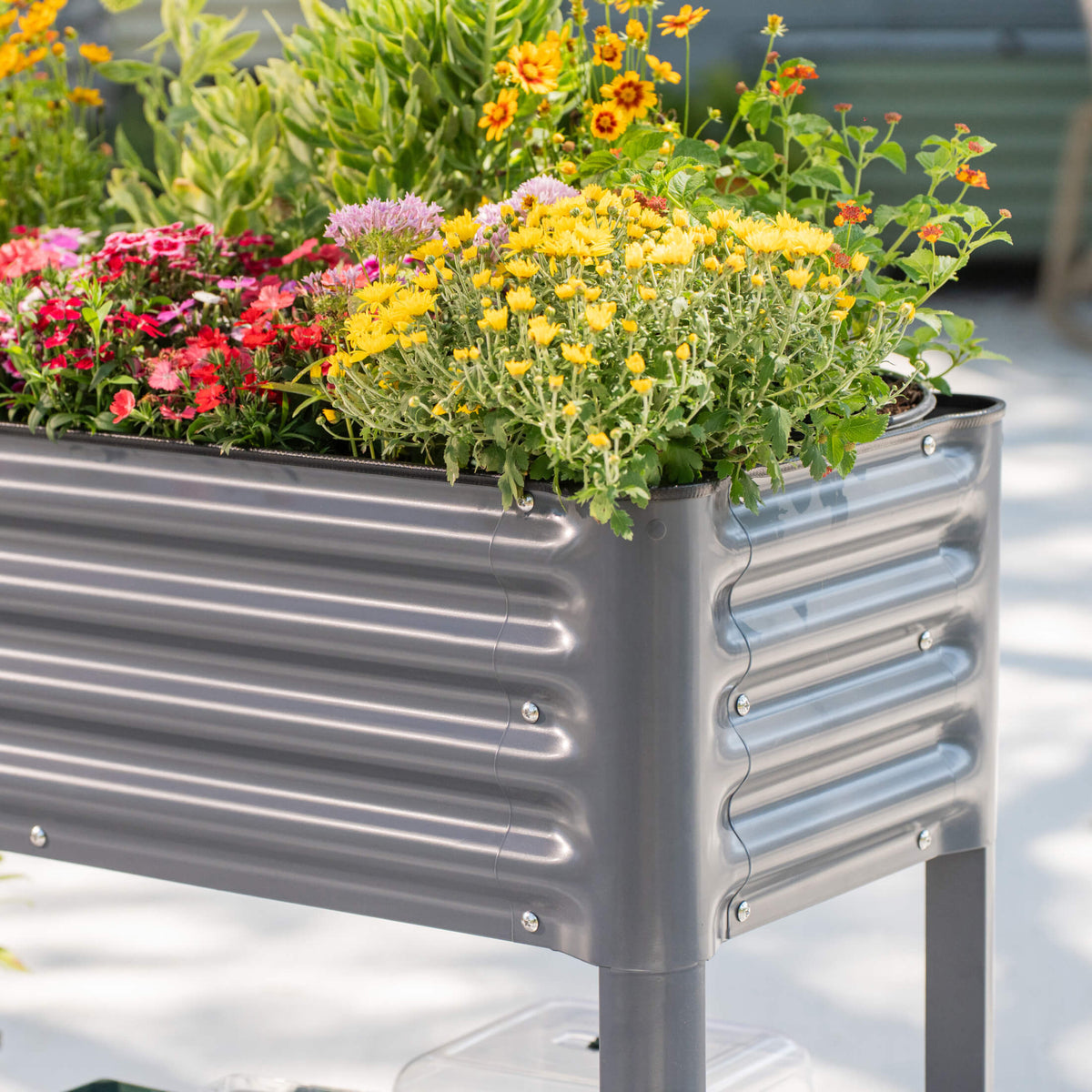 Product photo of slim rolling elevated bed, 18 x 66 inches
