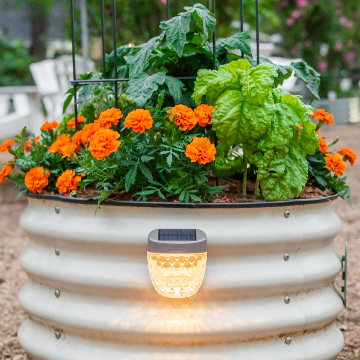 Solar Garden Light, Classic Mount