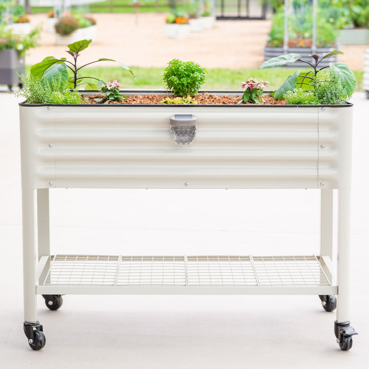 Solar Garden Light, Classic Mount