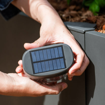 Solar Garden Light, Flat Mount