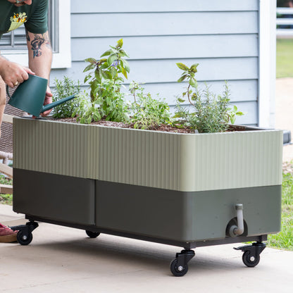 Rolling Self-Watering Planter, 21 x 48 Inches