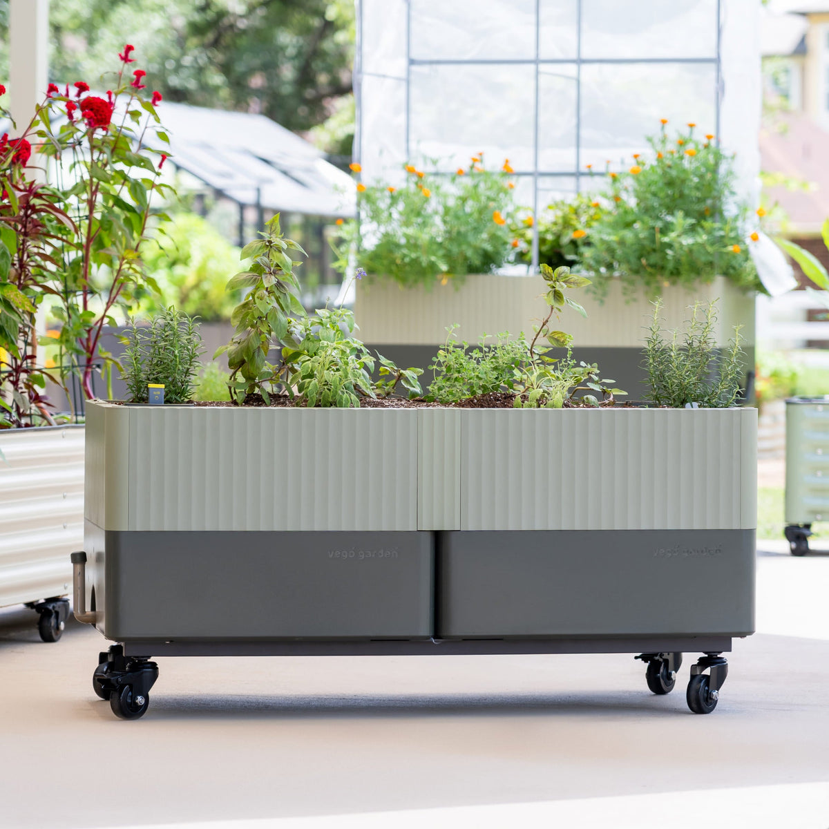 Rolling Self-Watering Planter, 21 x 48 Inches