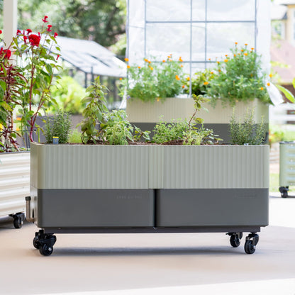 Rolling Self-Watering Planter, 21 x 48 Inches