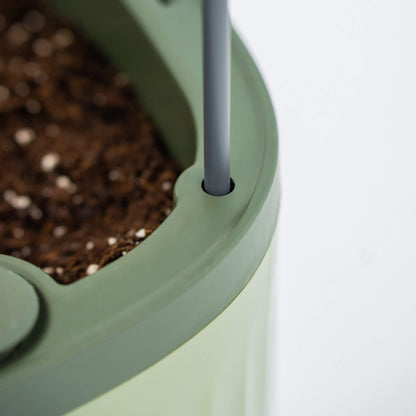 Self-Watering Tomato Planter with Adjustable Trellis