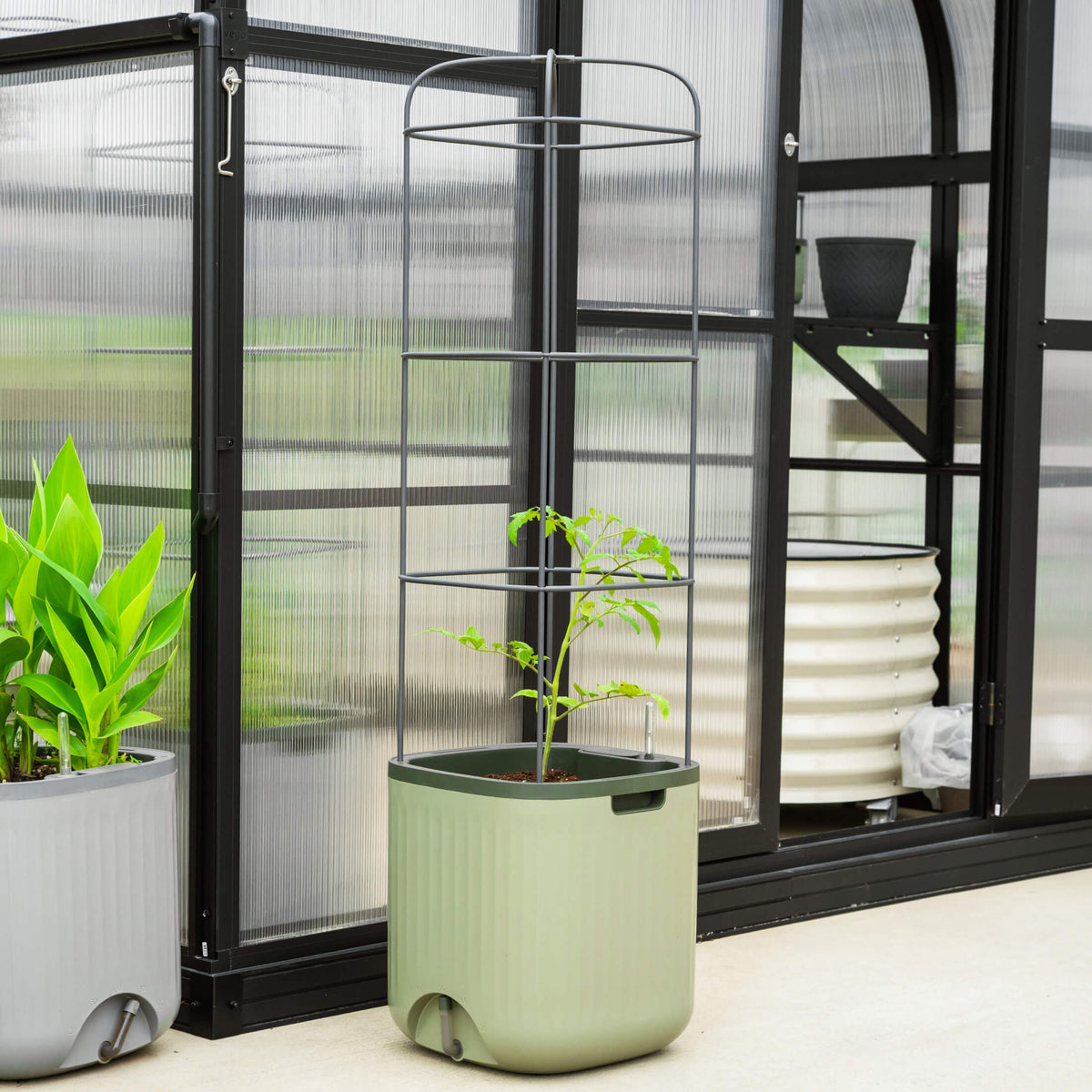 Self-Watering Tomato Planter with Adjustable Trellis
