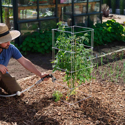 Product photo of galvanized steel tomato cage