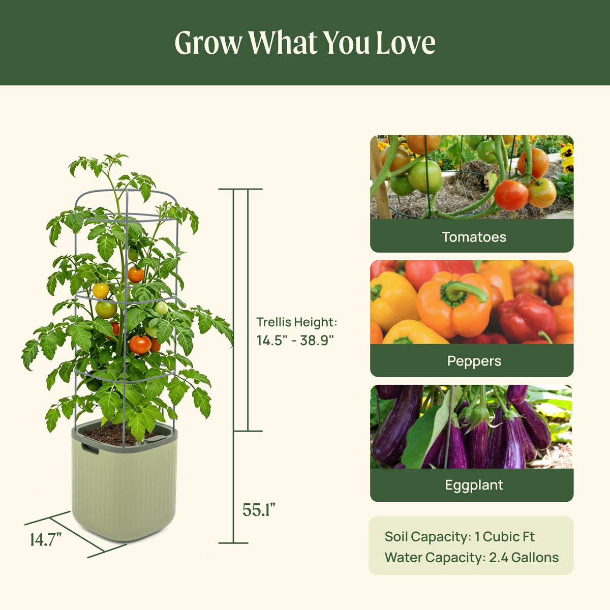 Self-Watering Tomato Planter with Adjustable Trellis