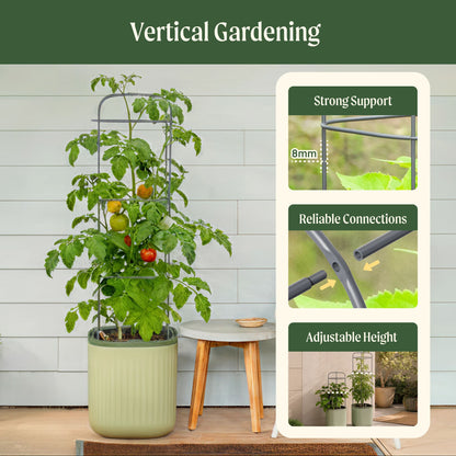 Self-Watering Tomato Planter with Adjustable Trellis