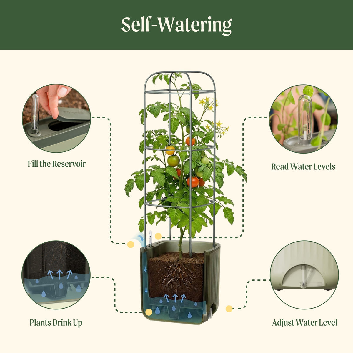 Self-Watering Tomato Planter with Adjustable Trellis