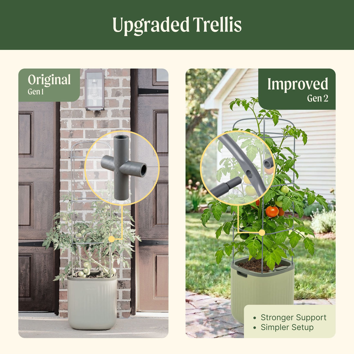 Self-Watering Tomato Planter with Adjustable Trellis