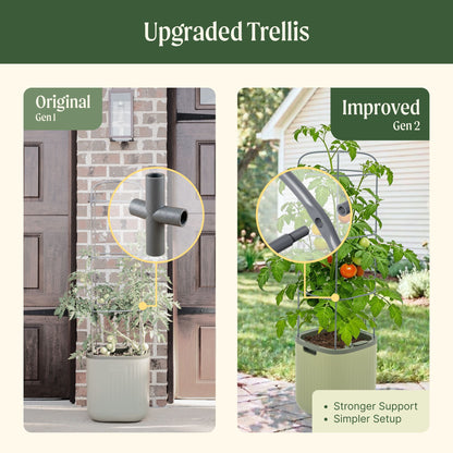 Self-Watering Tomato Planter with Adjustable Trellis