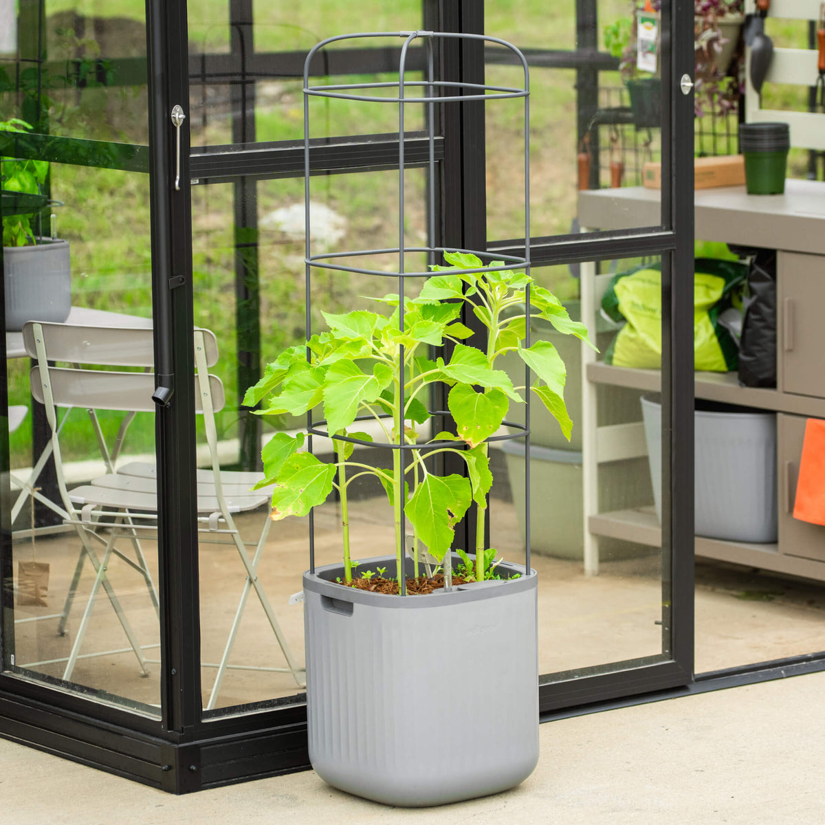 Self-Watering Tomato Planter with Adjustable Trellis