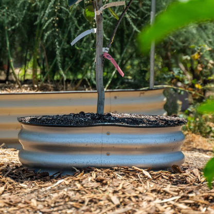 Metal Tree Surround, 8 Inches Tall