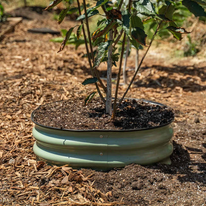 Metal Tree Surround, 8 Inches Tall