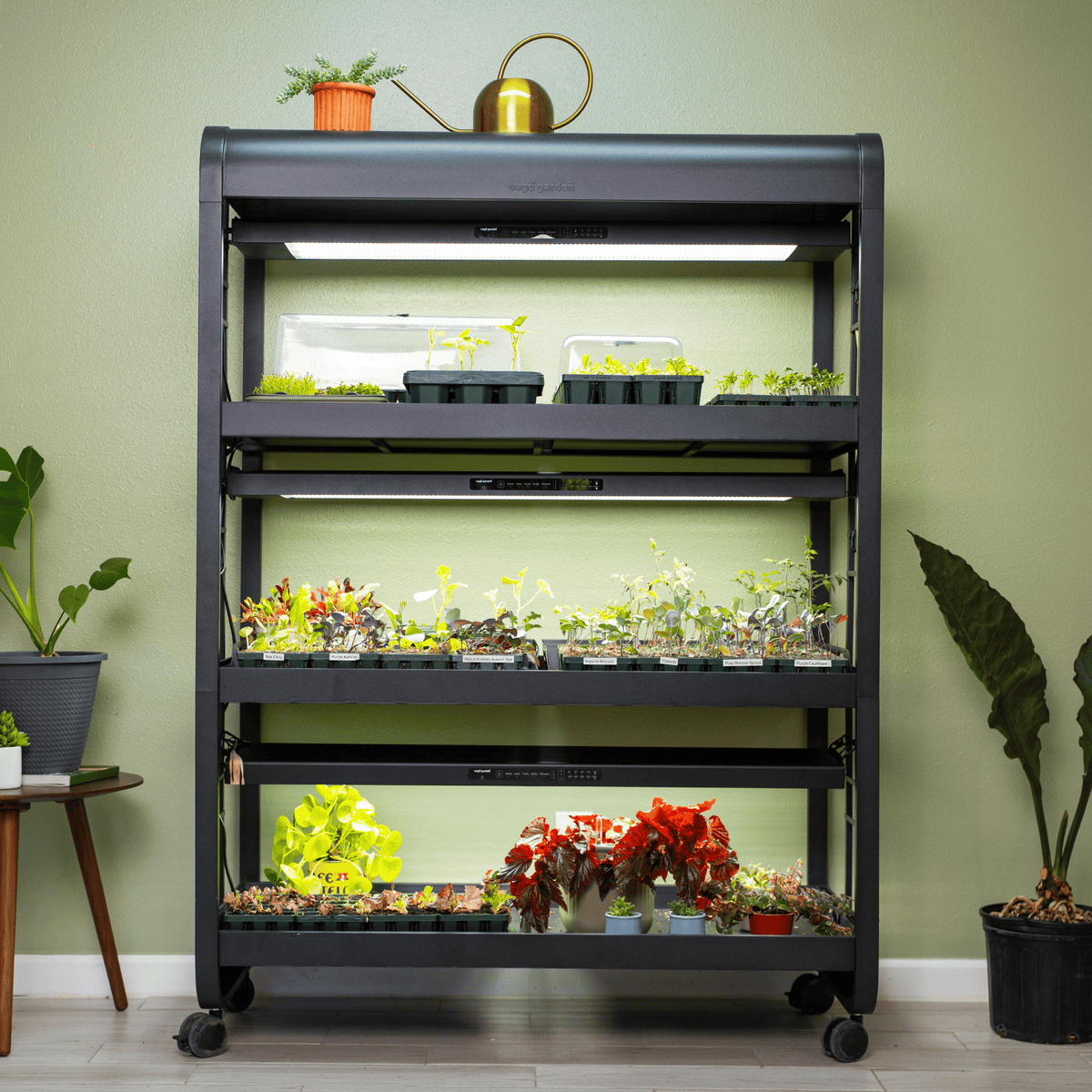 Product photo of three-light grow garden