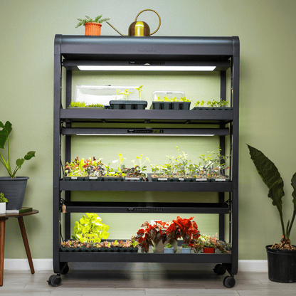 Product photo of three-light grow garden