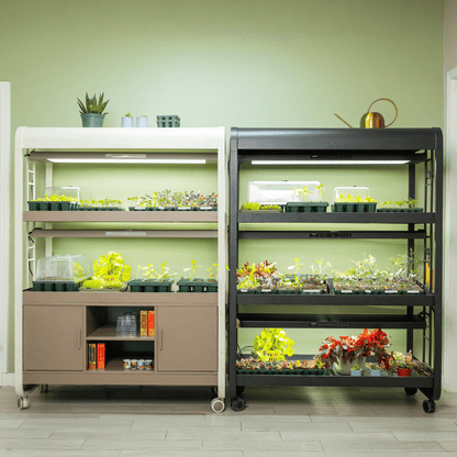 Product photo of three-light grow garden