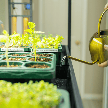 Product photo of three-light grow garden