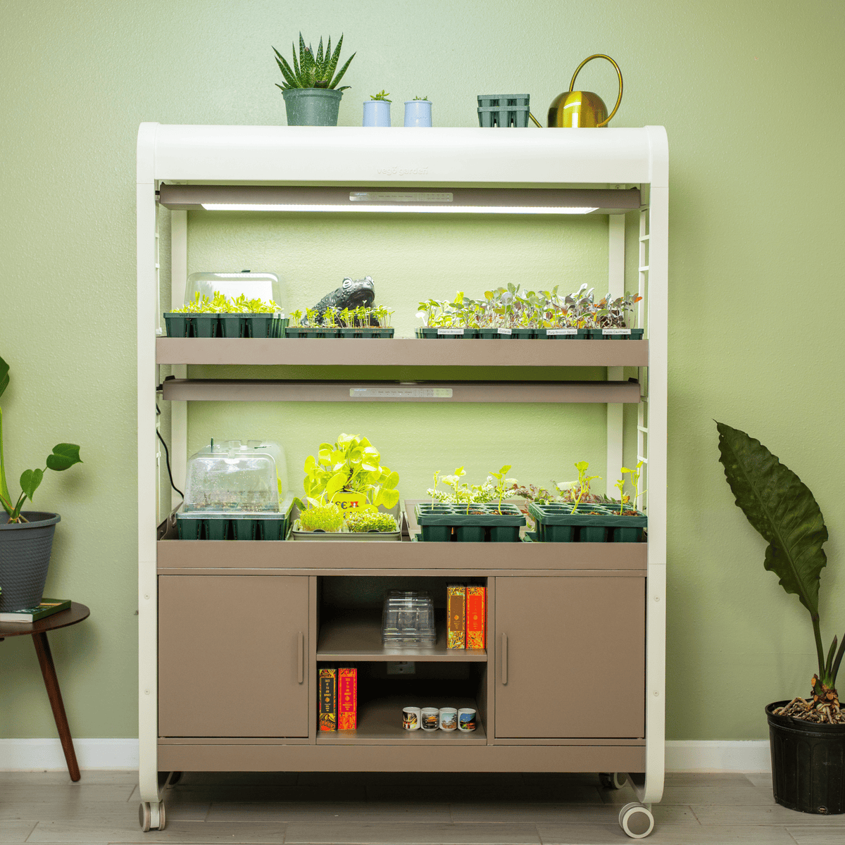 Product photo of grow light garden with storage
