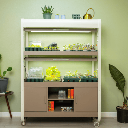 Product photo of grow light garden with storage