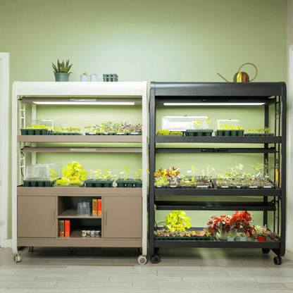 Product photo of grow light garden with storage