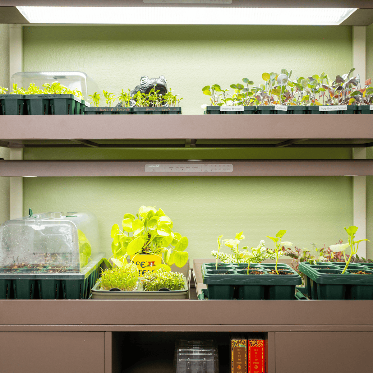 Product photo of grow light garden with storage