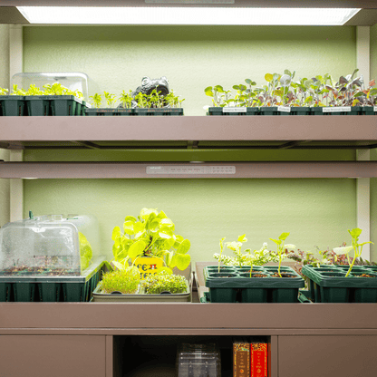 Product photo of grow light garden with storage