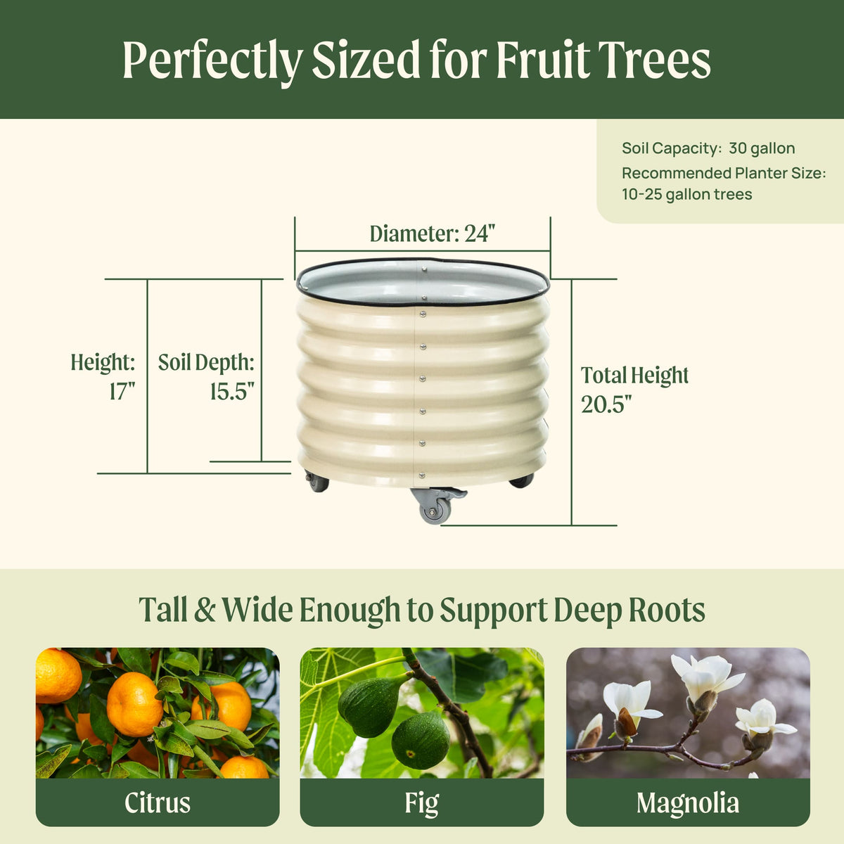 Product photo of rolling citrus planter, 30 gallons