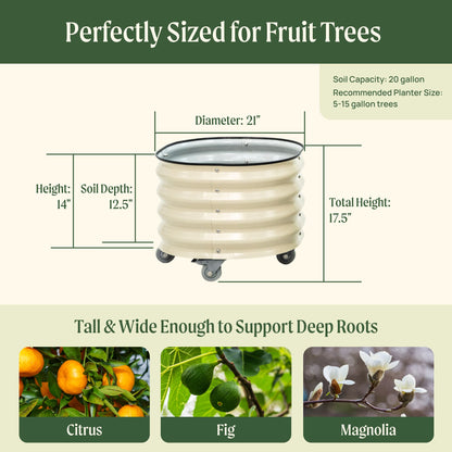Product photo of rolling citrus planters, two 20-gallon pots