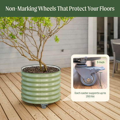 Product photo of rolling citrus planter, 30 gallons