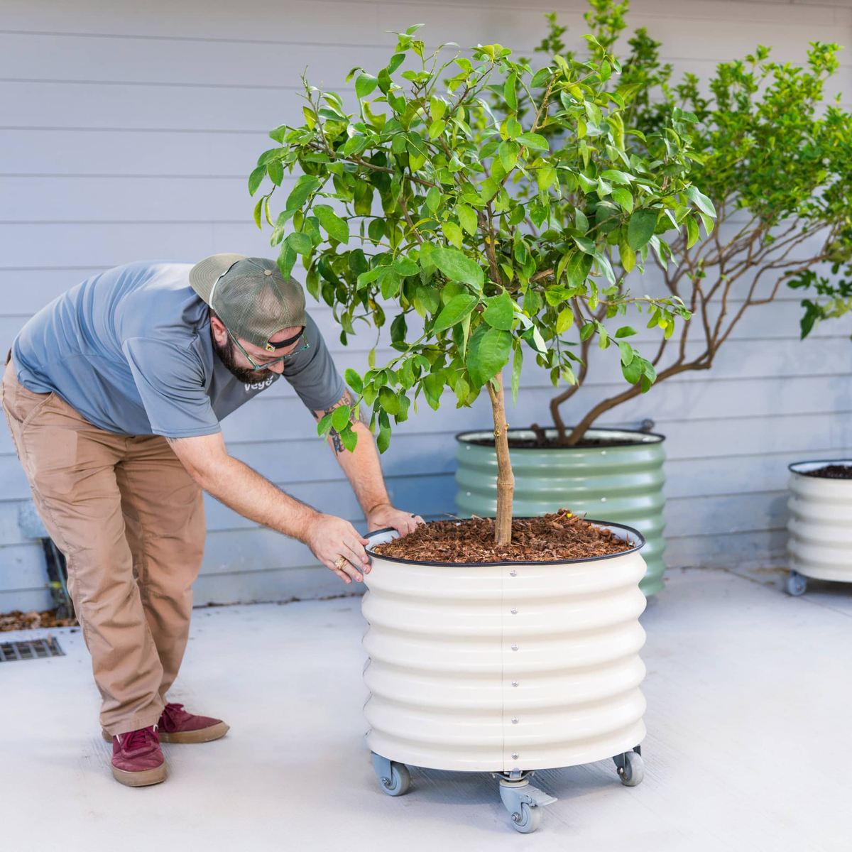 Product photo of rolling citrus planter, 20 gallons