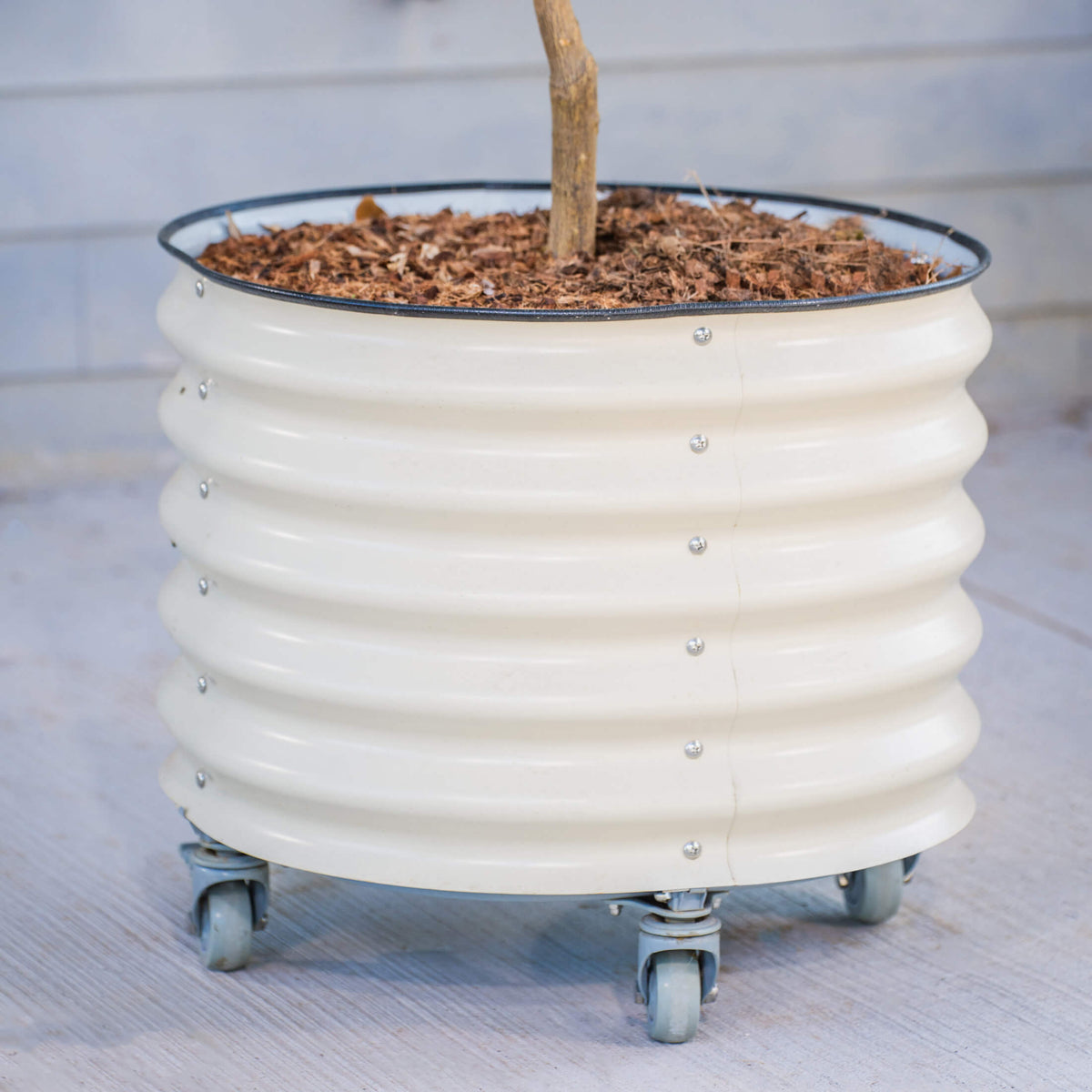 Product photo of rolling citrus planter, 20 gallons