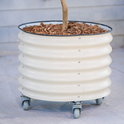 Product photo of rolling citrus planter, 20 gallons