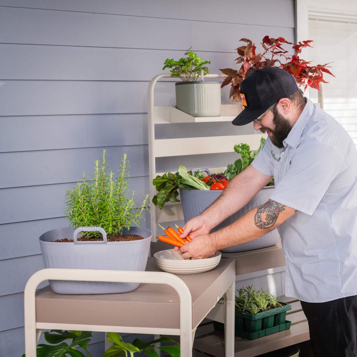 Product photo of 4-gallon garden utility tub